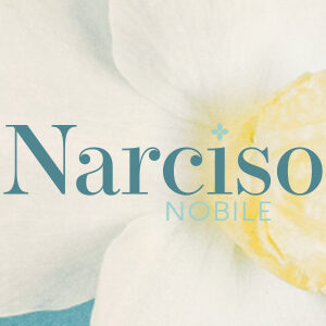 Narciso Nobile