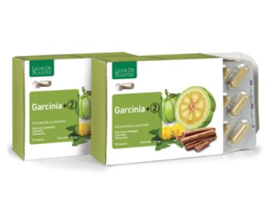 garcinia