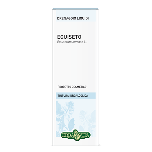 TI-Equiseto