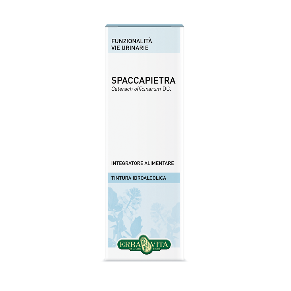 ti spaccapietra