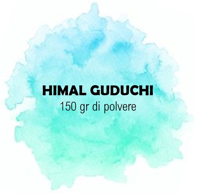 himal guduchi