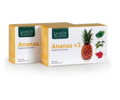 ananas 3