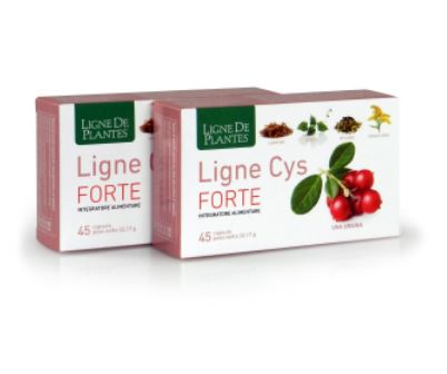 cys forte
