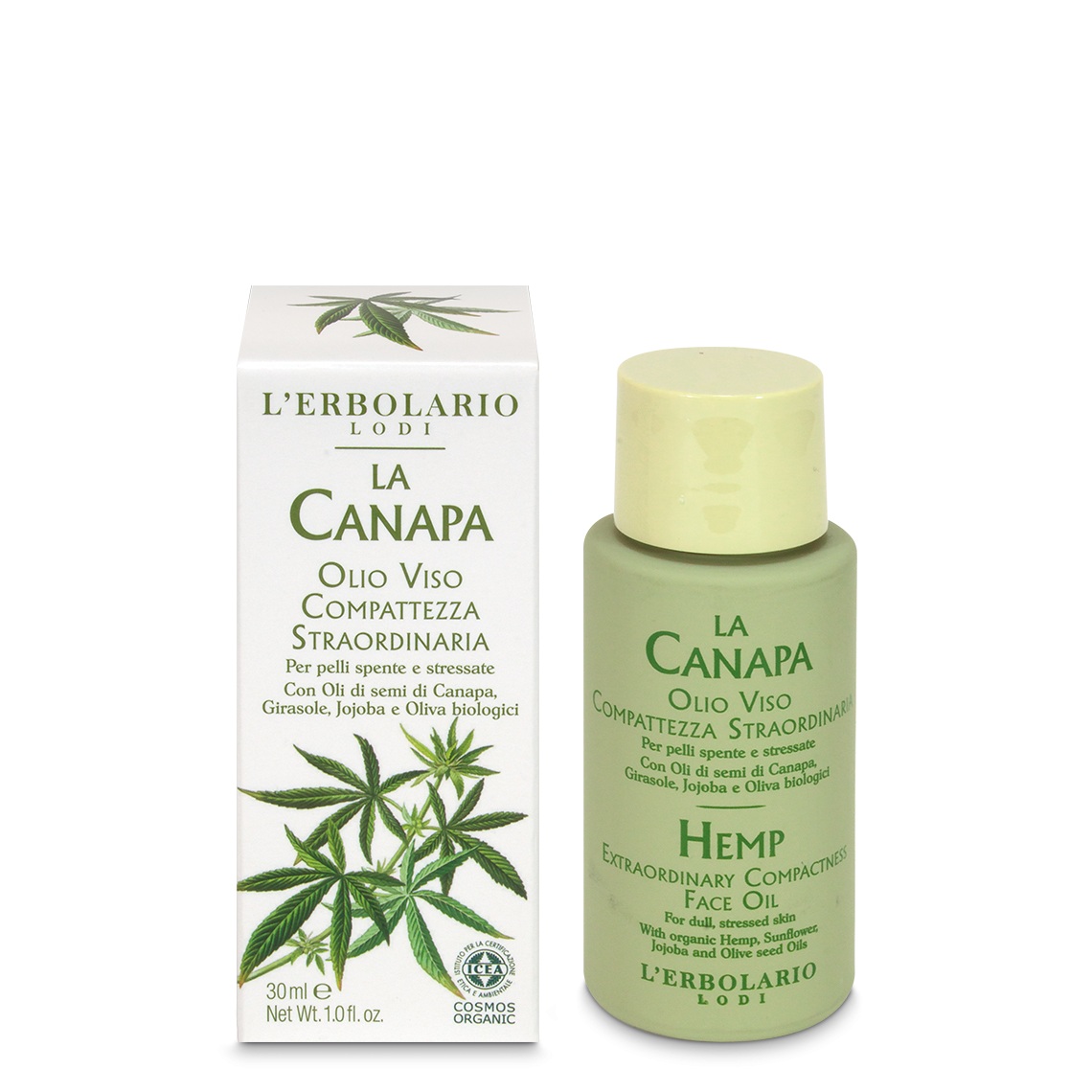 canapa olio